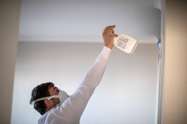 Best Black Mold Remediation in Castle Rock, WA