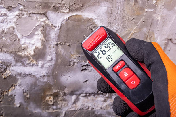 Best Insurance-Related Mold Remediation in Castle Rock, WA