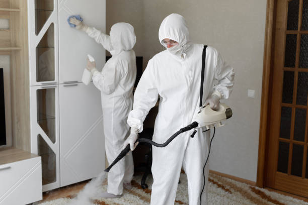 Best Post-Flood Mold Remediation in Castle Rock, WA