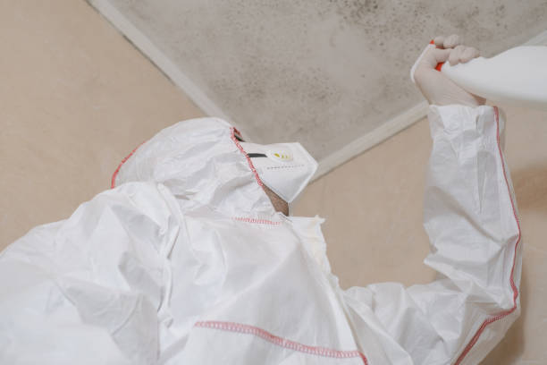 Best Residential Mold Remediation in Castle Rock, WA