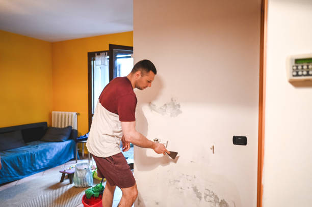 Best Health and Safety Mold Remediation in Castle Rock, WA